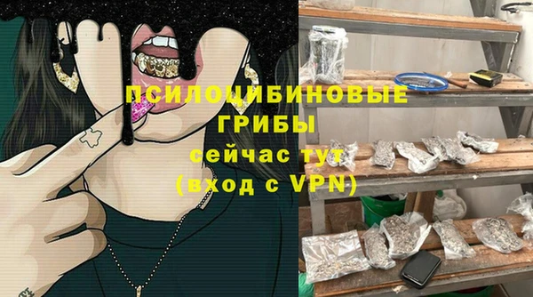 мдпв Барнаул