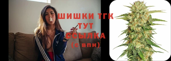 молекула духа Нефтегорск