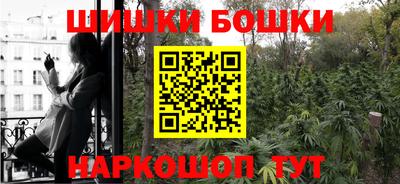 дживик Бийск