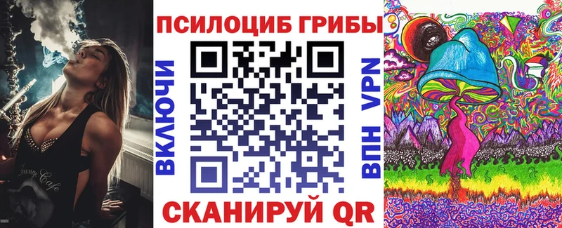 как найти закладки  Петровск  kraken ССЫЛКА  Галлюциногенные грибы Psilocybe 