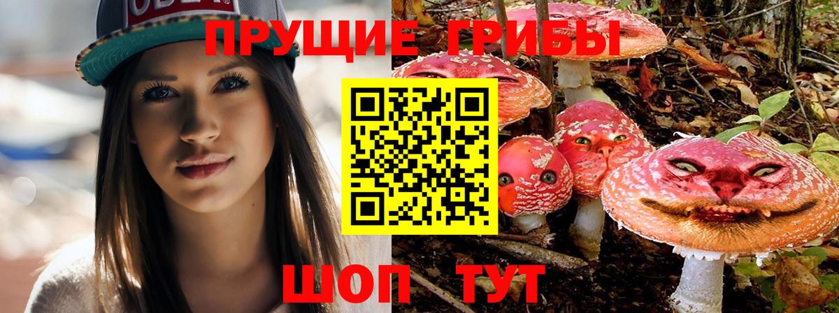 Псилоцибиновые грибы мухоморы  Псилоцибиновые грибы ЛСД  Петровск 