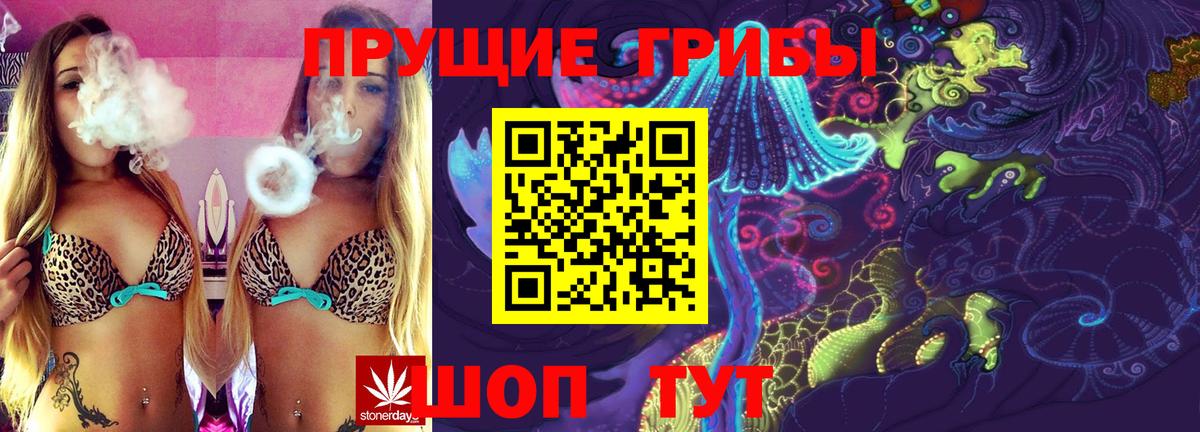 Петровск  Псилоцибиновые грибы прущие грибы  Вход с VPN  Галлюциногенные грибы Magic Shrooms 