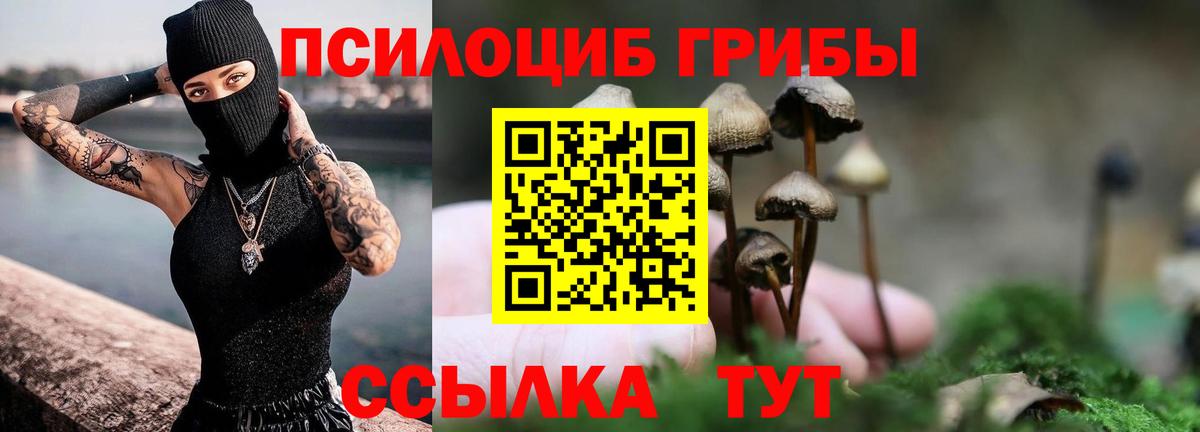 Псилоцибиновые грибы MAGIC MUSHROOMS Петровск