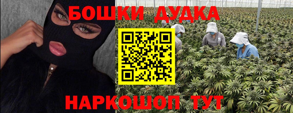 Петровск  Бошки марихуана индика  Конопля MAZAR  Вход с VPN 